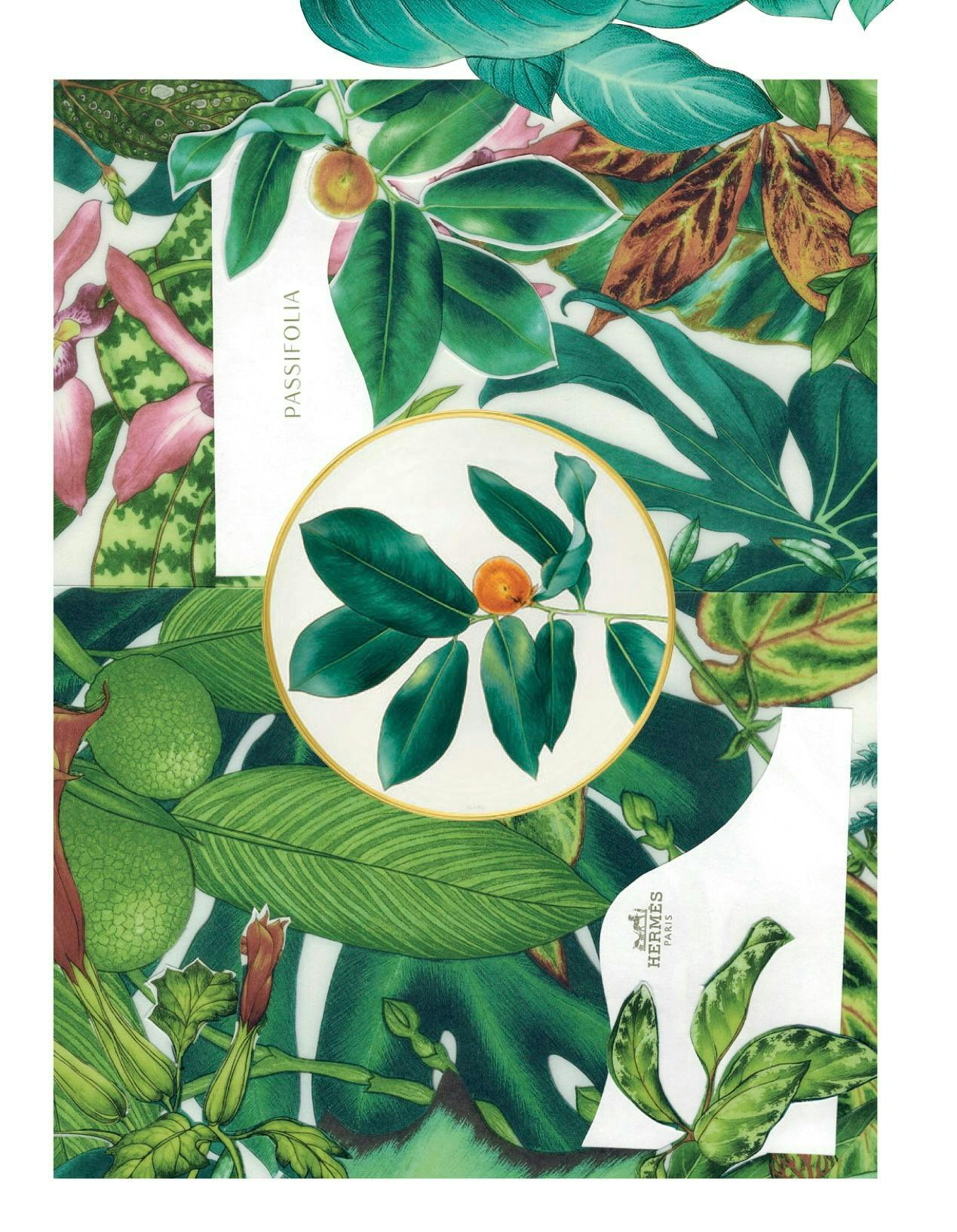 bush plant vegetation floral design pattern art graphics