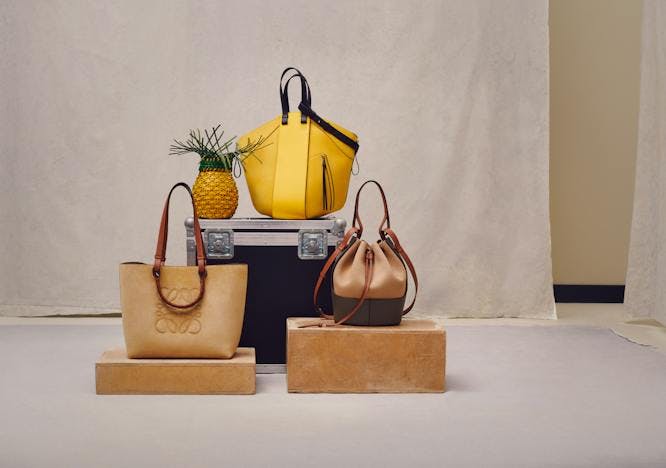 bag handbag accessories accessory purse pineapple food plant fruit