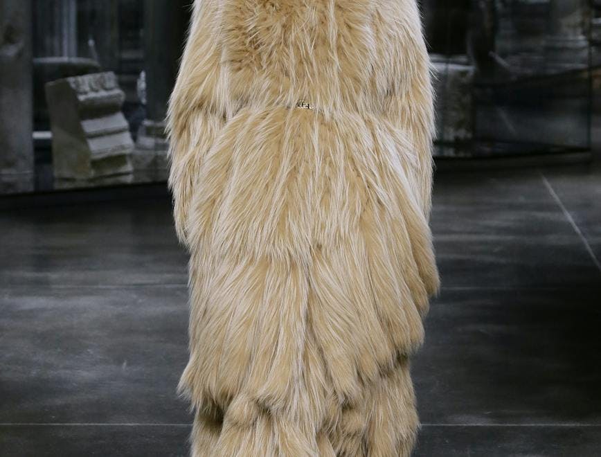 clothing apparel sleeve long sleeve fur
