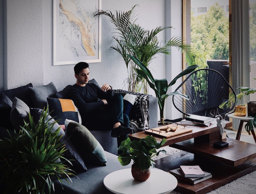 living room room indoors furniture couch person human table plant