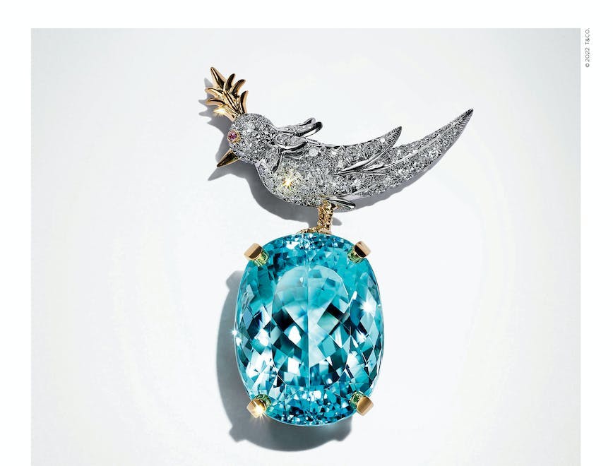 accessories accessory bird animal jewelry