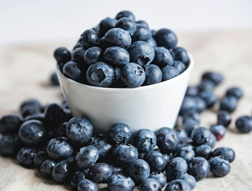 blueberry plant fruit food